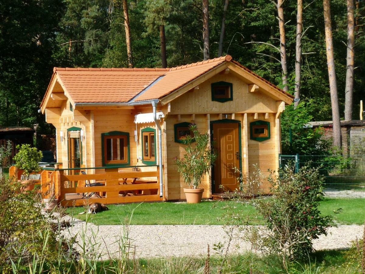 Haus Alwine Βίλα Borkheide Εξωτερικό φωτογραφία
